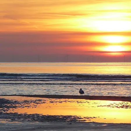 Casa de Férias 't Kasteeltje Bergen