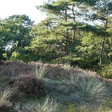 Feriehus 't Kasteeltje Bergen